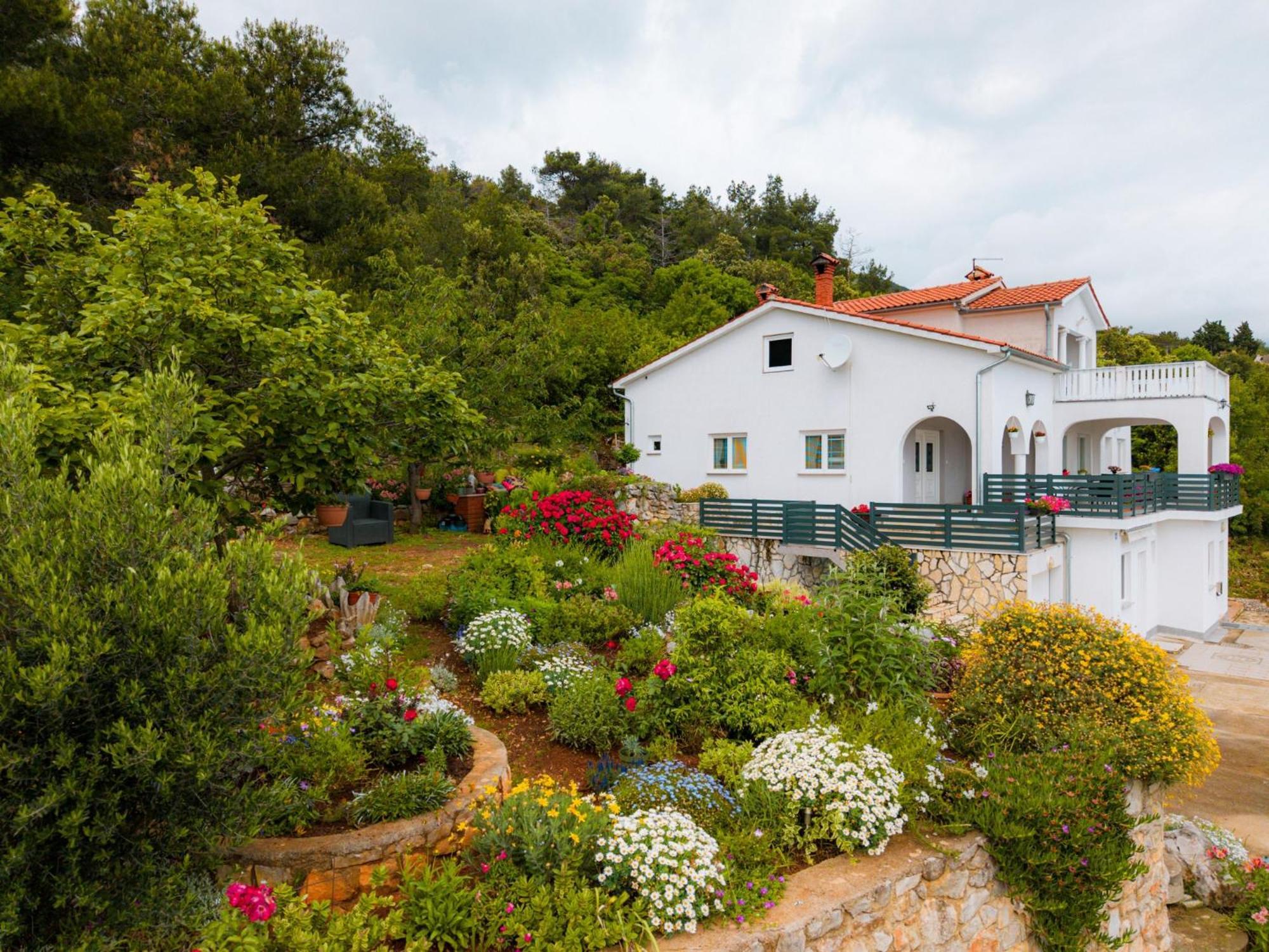 Villa Paradiso In Plomin - Istrien ภายนอก รูปภาพ