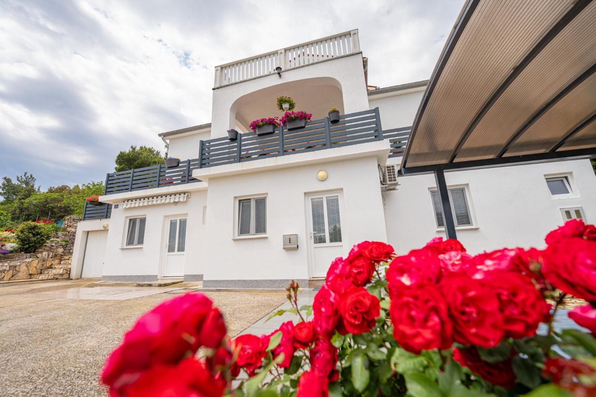 Villa Paradiso In Plomin - Istrien ภายนอก รูปภาพ